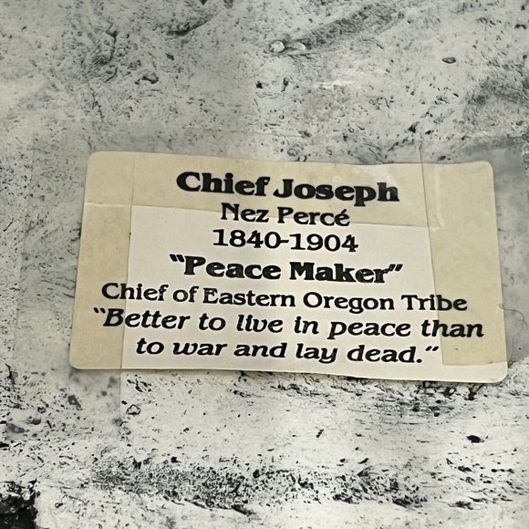 Shapes Of Clay By Stan Langtwait Mount St Helen Ash Native American Chief Joseph - Picture 11 of 16